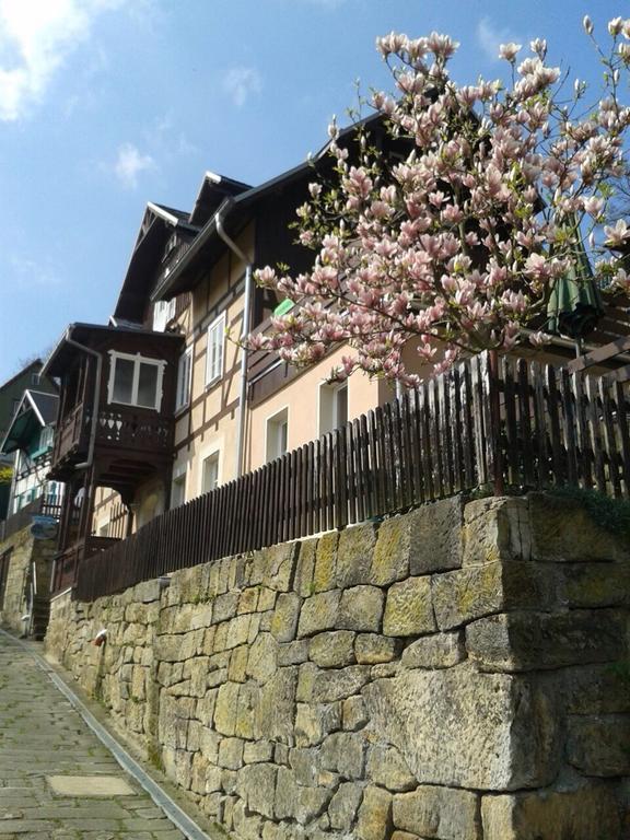 Wehlener Landhaus In Stadt Wehlen, Saechsische Schweiz 外观 照片